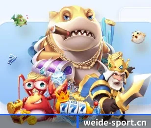 韦德体育sport的故事 - 体育资讯内容服务(WEIDESPORTS)